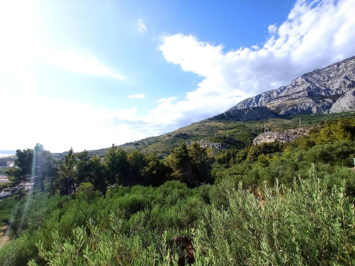 Apartament Casa Del Olivo Tučepi Zewnętrze zdjęcie